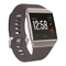 Fitbit Ionic FB503