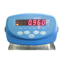 Braunker YP200 Manual Tecnico
