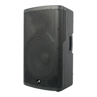 Audibax PRO KINGSTON 12 DSP Manual De Usuario