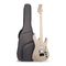 Manual de la guitarra eléctrica Fesley FST-350M