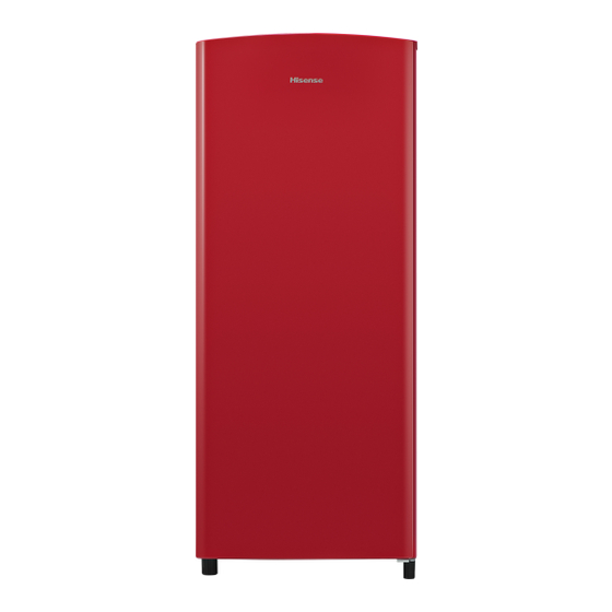 Hisense BC-169 Manual De Instrucciones