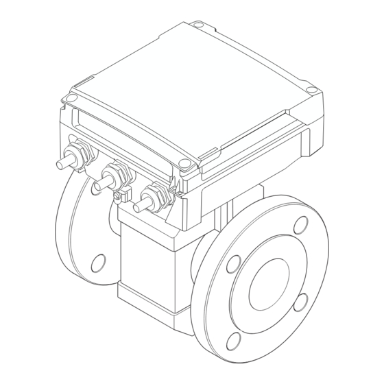 Endress+Hauser Proline Promag 800 Manual De Instrucciones