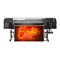 Oki IP-5620
