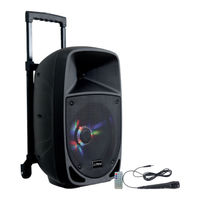 Party Light & Sound 15-6100PLS Manual De Uso