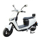 Scooters GREENLINE Tailg LION Manual De Uso