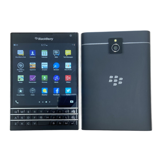 Blackberry SQW100-1 Manual De Instrucciones