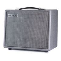 Blackstar Amplification SILVERLINE STANDARD El Manual Del Propietario