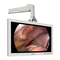 Monitores FSN FS-P2601D Guia Del Usuario
