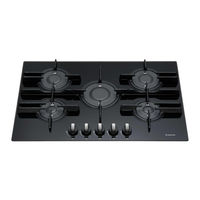 Ariston PK 644D GH X LPG Manual De Instrucciones