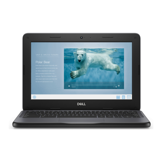Dell Chromebook 3100 Manual De Servicio