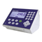 Básculas Mettler Toledo IND246 Guia De Instalacion