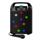 ION Party Rocker Max MK2