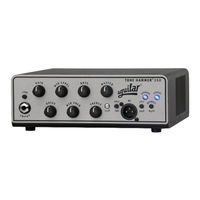 Aguilar Tone Hammer 350 Manual De Usuario