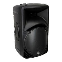 Mackie C300z Manual De Instrucciones
