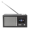 Radio nedis RDIN3000BK Manual De Usuario