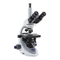 Microscopios Optika Italy B-290 Serie Manual De Instrucciones