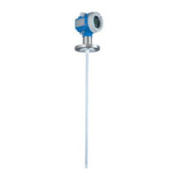 Endress+Hauser Levelflex M FMP41 C Manual De Funcionamiento