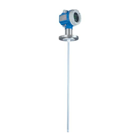 Endress+Hauser Levelflex M FMP40 Manual De Funcionamiento