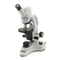 Microscopios OPTIKA MICROSCOPES DM-5 Manual De Instrucciones