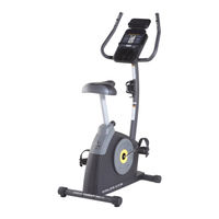 Gold's Gym CYCLE TRAINER 300 C Manual Del Usuario