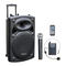 Manual de Ibiza sound PORT15VHF-BT