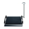 Seca 665