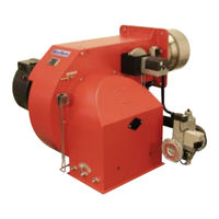 Ecoflam BLU 8000.1 PR/MD Manual De Instrucciones