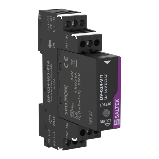 SALTEK DP-012-V/1-F16 Instrucciones De Instalación