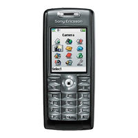 Sony Ericsson T637 Manual Del Usuario