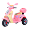 Coches Eléctricos para Niños HOMCOM 370-013 Manual De Instrucciones
