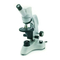Optika DM-5UP