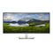 Dell P3421W