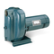 Pentair STA-RITE DS2 Serie