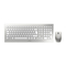 Cherry DW 8000 - Manual del teclado y ratón inalámbricos de escritorio