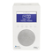 Radio Tivoli Audio PAL+ Manual De Usuario