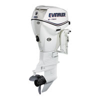 Brp EVINRUDE E-TEC 40 CV Guia Del Usuario