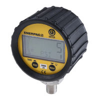 Enerpac DGR-2 Manual De Instrucciones