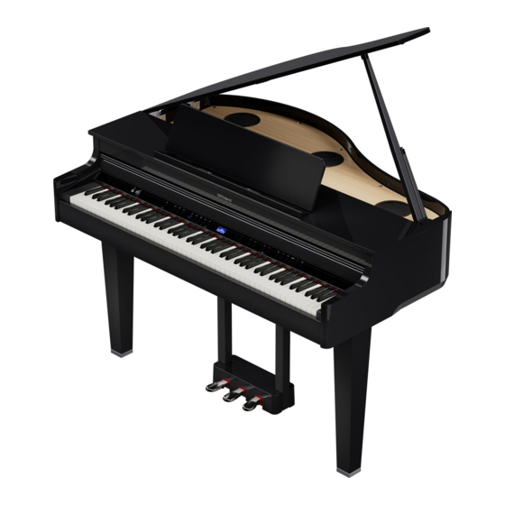 Roland GP-6 Manual Del Usuario