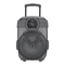Panacom S113 STAGE SOUND