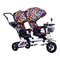 Cochecitos de Bebés Chipolino TANDEM Manual De Instrucciones