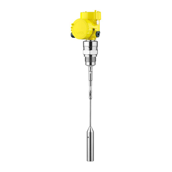Vega VEGAFLEX 82 Instrucciones De Servicio