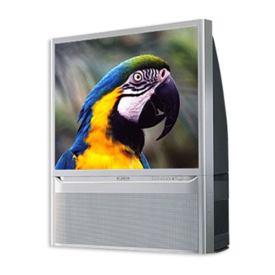 Samsung SP43T8 Manual De Instrucciones