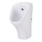 Inodoros DURAVIT DuraStyle 280630 Serie Instrucciones De Montaje