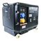 Generadores WARRIOR 6000S Manual De Instrucciones