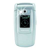 Samsung SGH-E710 Manual De Instrucciones