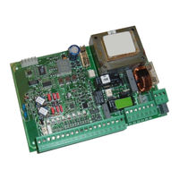 FAAC 624 BLD Manual De Instrucciones