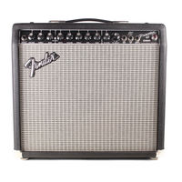 Fender PRINCETON 65 DSP Instrucciones De Funcionamiento