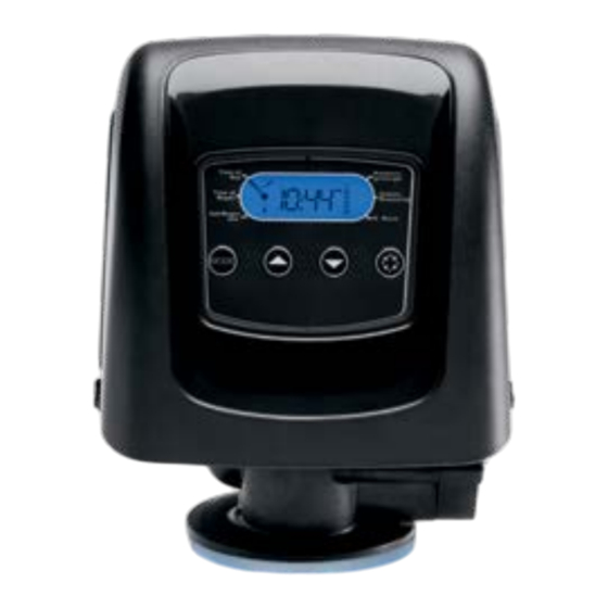 Pentair FLECK 5800 SXT Manual De Servicio