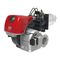 Riello RS 810/E FGR