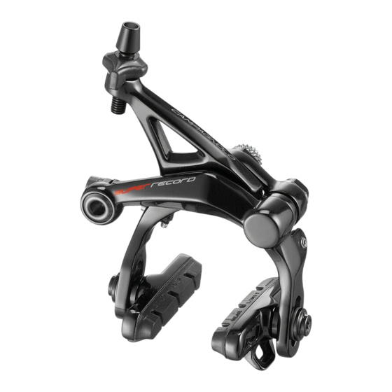 CAMPAGNOLO SUPER RECORD Manual Del Usuario